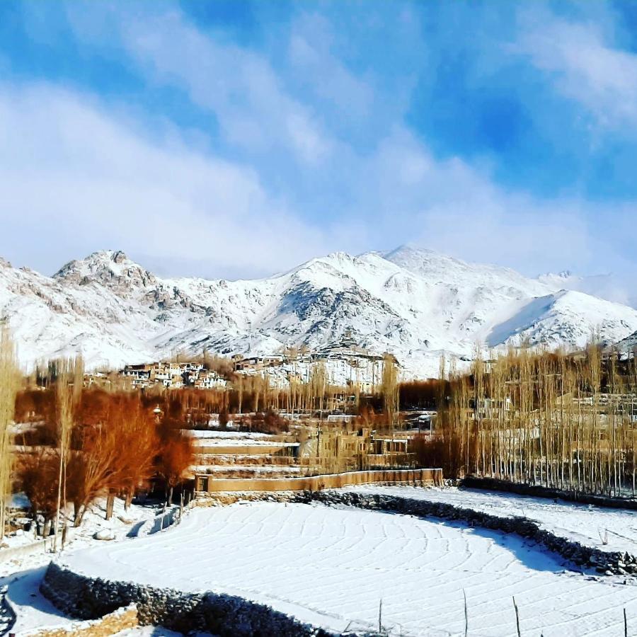 Ladakh Country Inn レー エクステリア 写真